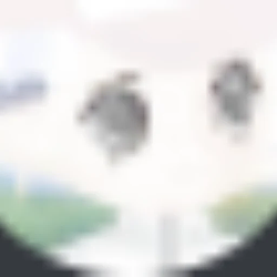 sdfsfsd