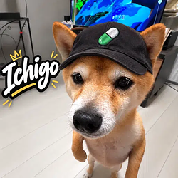 ICHIGO