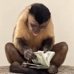 profit / SOL