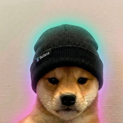 beanie / SOL