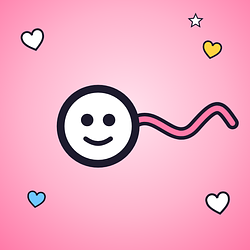 Womb