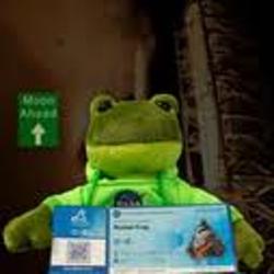 RocketFrog