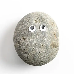 PETROCK