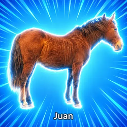 Juan / USDC