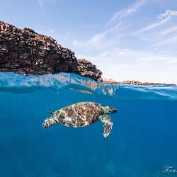 apnea / SOL
