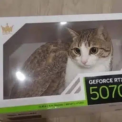 Gato Processing Unit