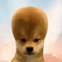 5headinu