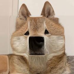 CUBBY