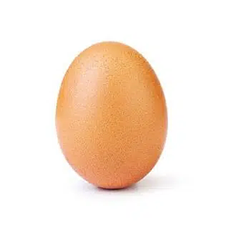 Egg / SOL