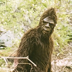 BIGFOOT / SOL