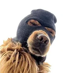 DOGCOIN