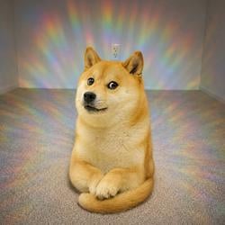 AURADOGE / SOL