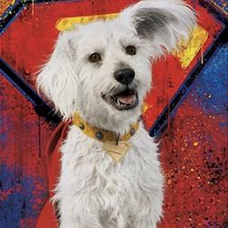 KRYPTO