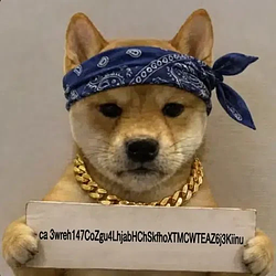 OGINU