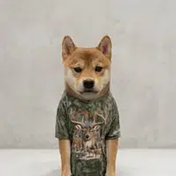 huntinu