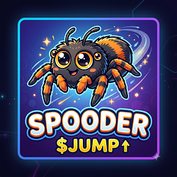 JUMPER / SOL