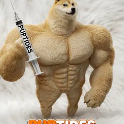 PUPTIDES