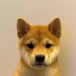 Mochi