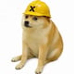 cashdog