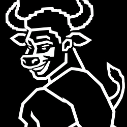BigBull / SOL