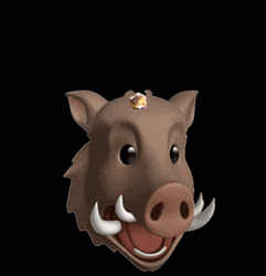 Boar