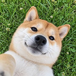 NI