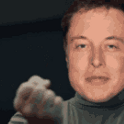 ELONSI