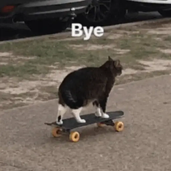 bye