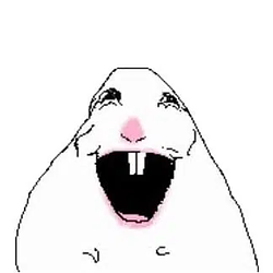 HAMSTER