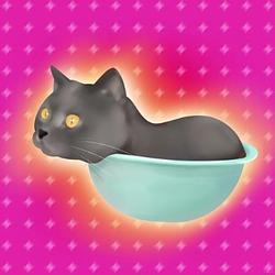 LIQCAT