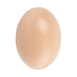 Eggy