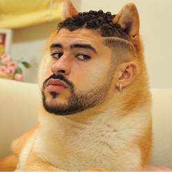 Baddoge