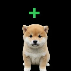 +Inu