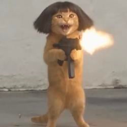 guncat