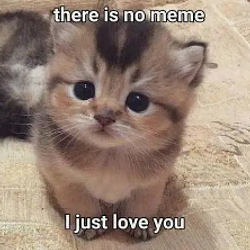 ily