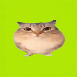 巴巴博一