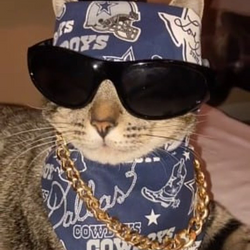 El Cholo Cat logo