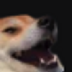 doge_ok / BNB