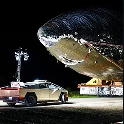CYBERWHALE