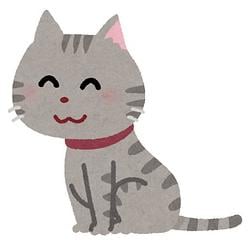猫 / SOL