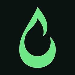 TORCH