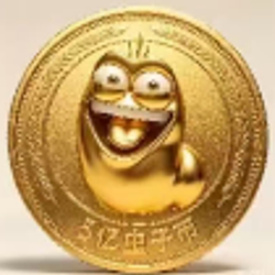 5亿虫子币 / BNB