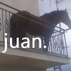 JUAN / SOL