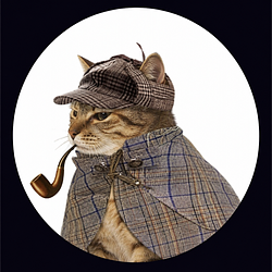 PipeCat