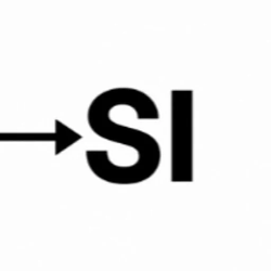 SI