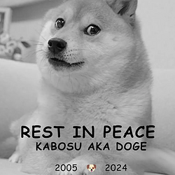 DOGE
