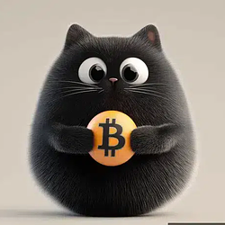 bitcat