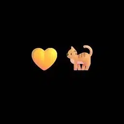 💛🐈 / SOL