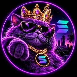 PURPLECAT