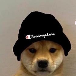 DOGG